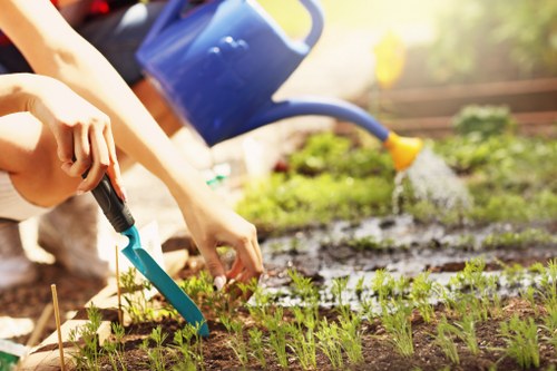 Garden maintenance work in a Beckenham residential garden