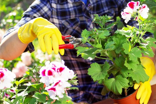 Landscapers Beckenham handling green waste and recyclable garden materials sustainably