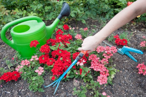 Professional Landscapers Beckenham completing a safe, insured clearance