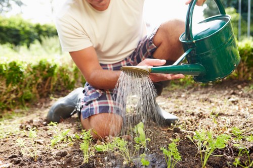 Landscape gardeners in Beckenham planning a garden design