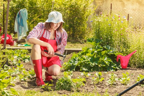 Professional planting services in a Beckenham garden border