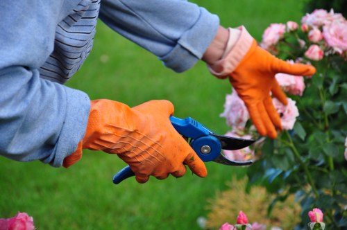 Close-up of lawn mowing equipment in a Beckenham garden
