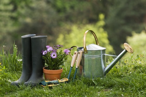 Mowing and feeding grass in a suburban garden