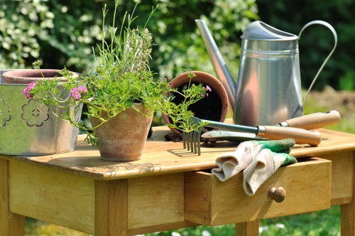 Neat and tidy garden maintenance for a Beckenham property