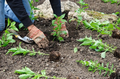 Card and digital payment security for Landscapers Beckenham