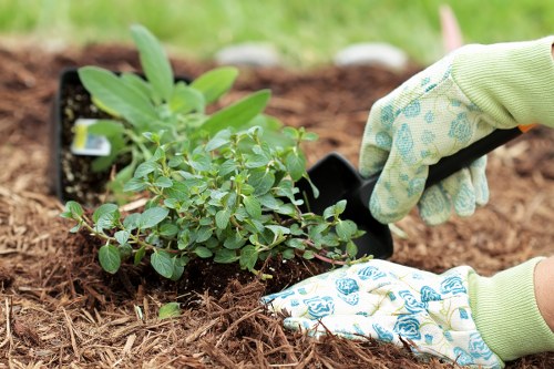Professional landscapers creating a garden design in Beckenham