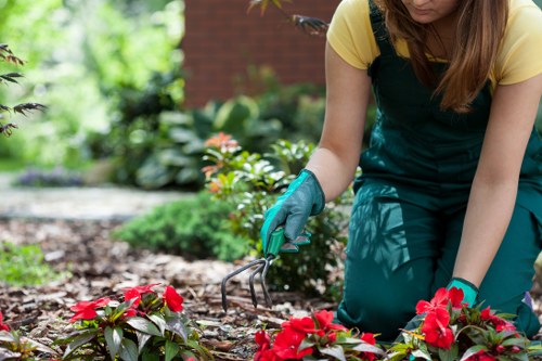 A keyboard-accessible interface for Beckenham landscaping services