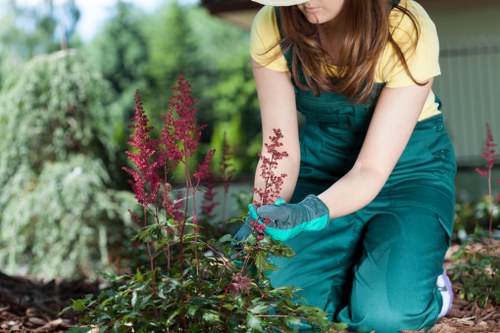 Hard landscaping features including paving and pathways in Beckenham