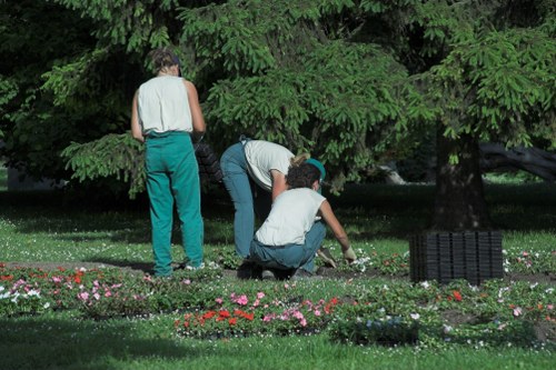 Trained landscapers assessing site risks before rubbish removal