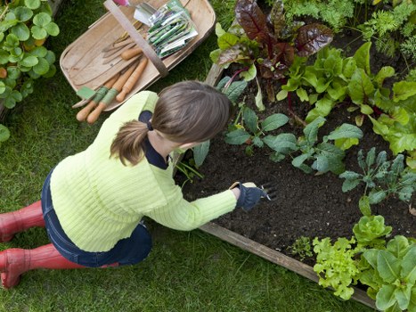 Cleanly cut boundary hedge improving kerb appeal