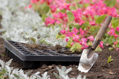 Beckenham lawn maintenance with seasonal care