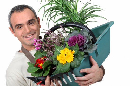 Garden hedge maintenance and shaping in Beckenham