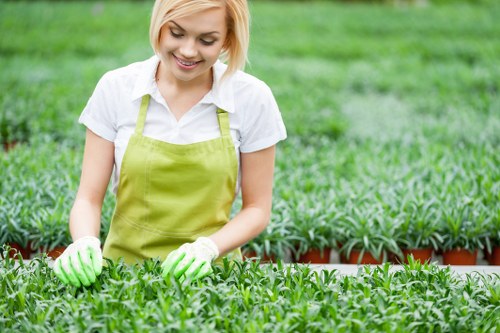 Garden layout planning for flower bed creation in Beckenham