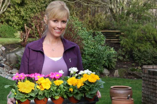 Modern landscape planting ideas for gardens in Beckenham
