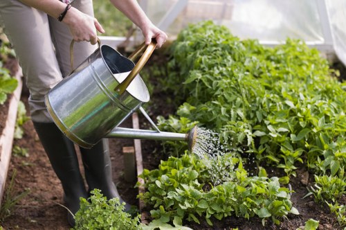 Sustainable garden design with drought-tolerant plants in Beckenham