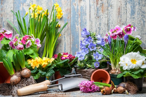 Modern planting and paving ideas for garden renovation in Beckenham